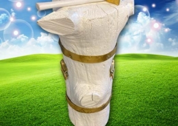 Hochzeitsspiel Baumstammnageln mieten