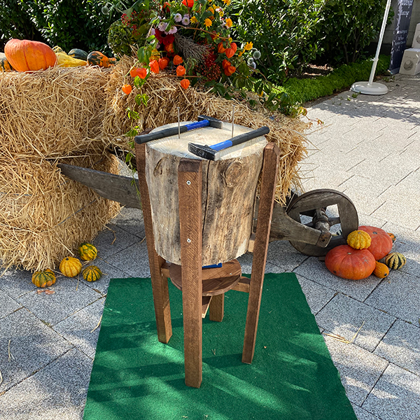 Baumstamm nageln mieten