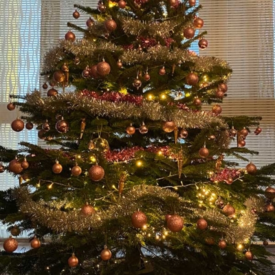 Christbaum mieten