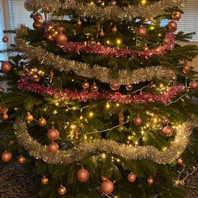 Christbaum mieten