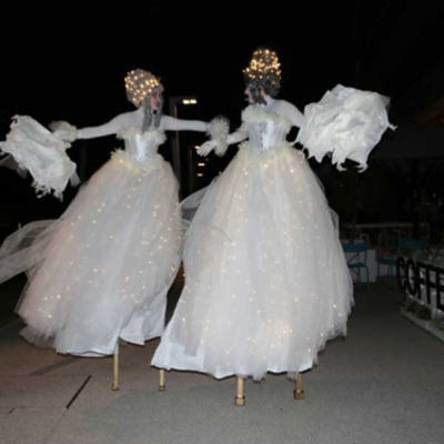 Stelzengeherin buchen