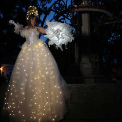 Stelzengeherin buchen