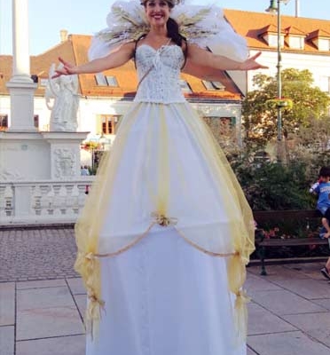 Stelzengeherin buchen